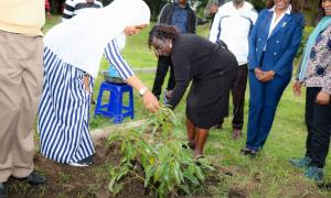Spearheading the Green Culture Movement